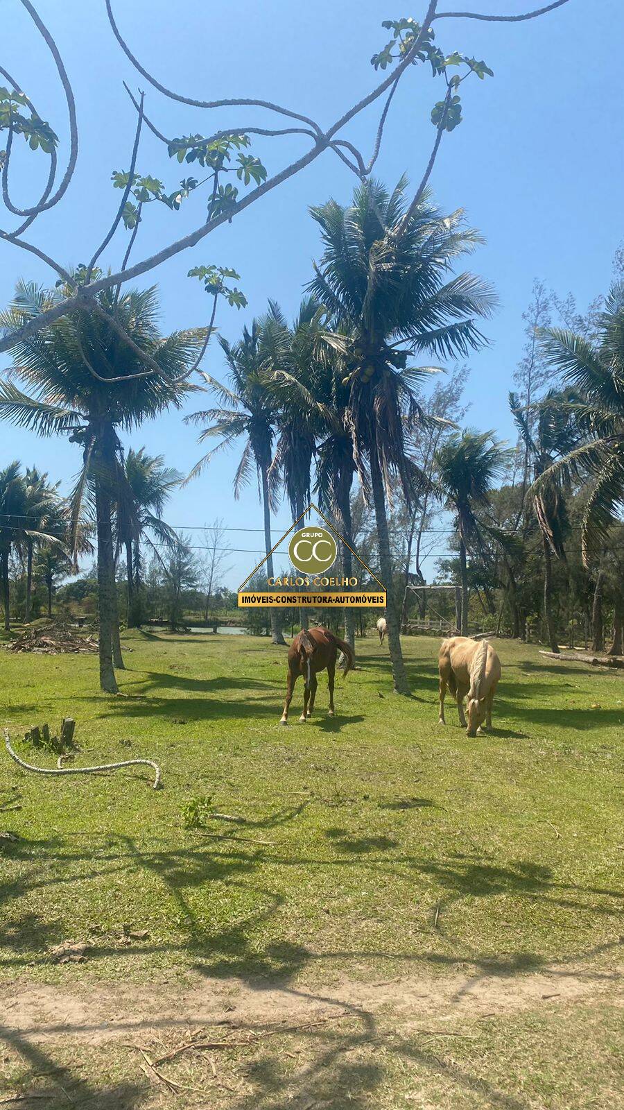 Terreno à venda - Foto 5